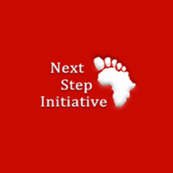 Diaspora African's Women Support Network partner - Next Step Initiative.
